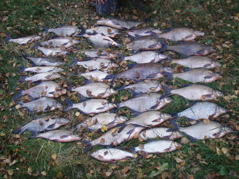 PA020048.JPG