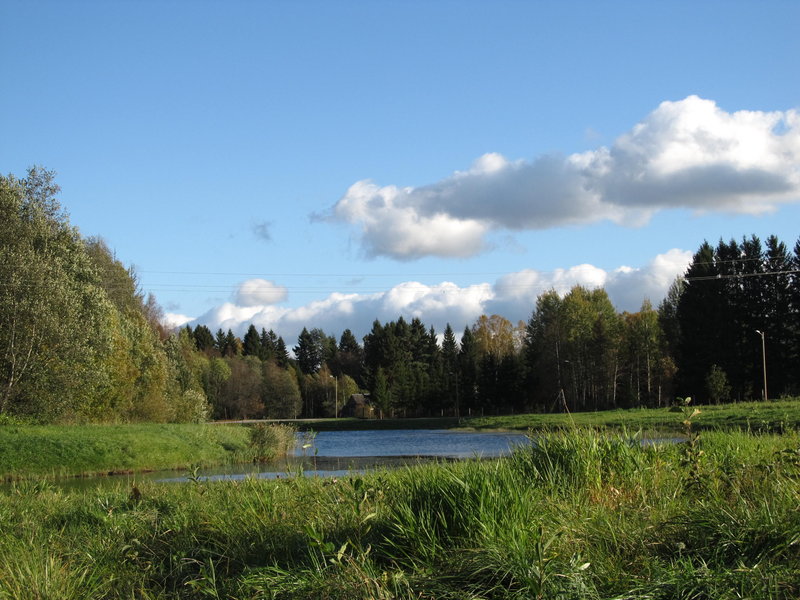 Picture 003.jpg