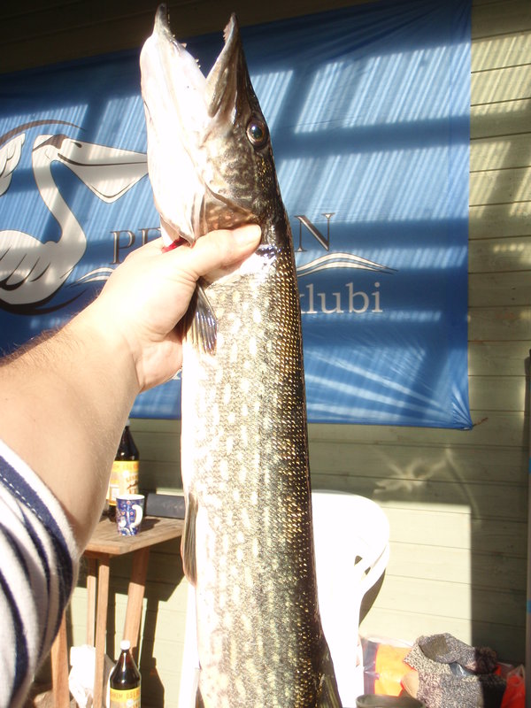 P1015994.JPG