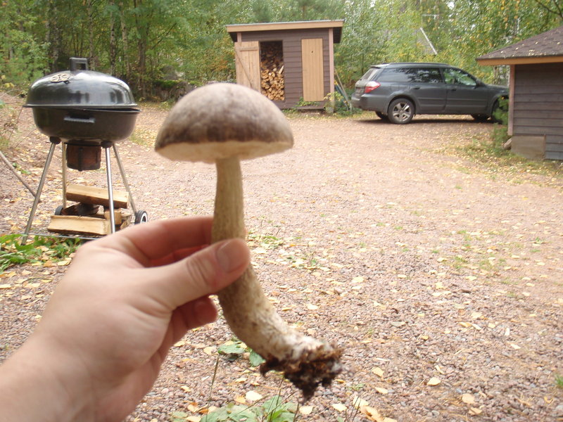P1045953.JPG