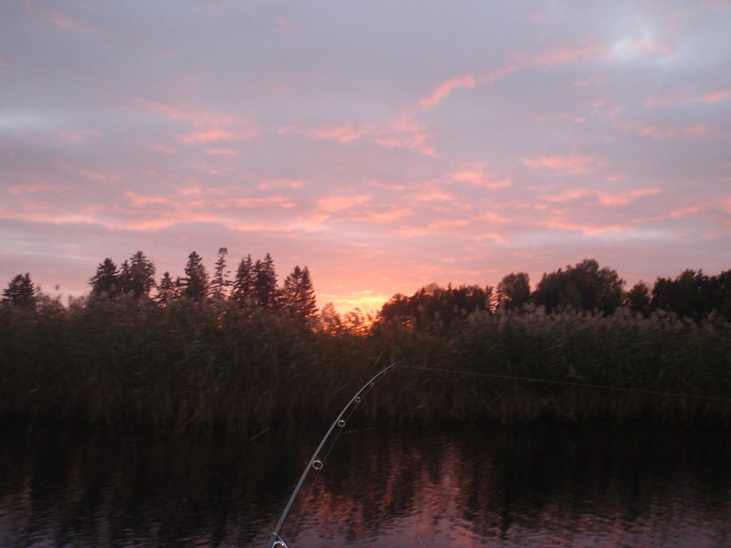 P1016167.JPG