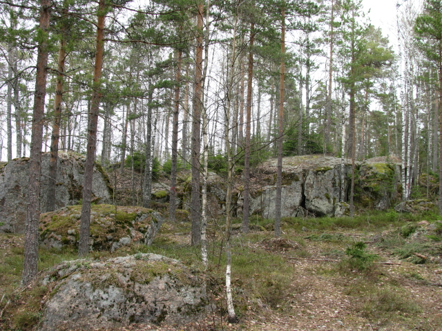 IMG_1363.jpg