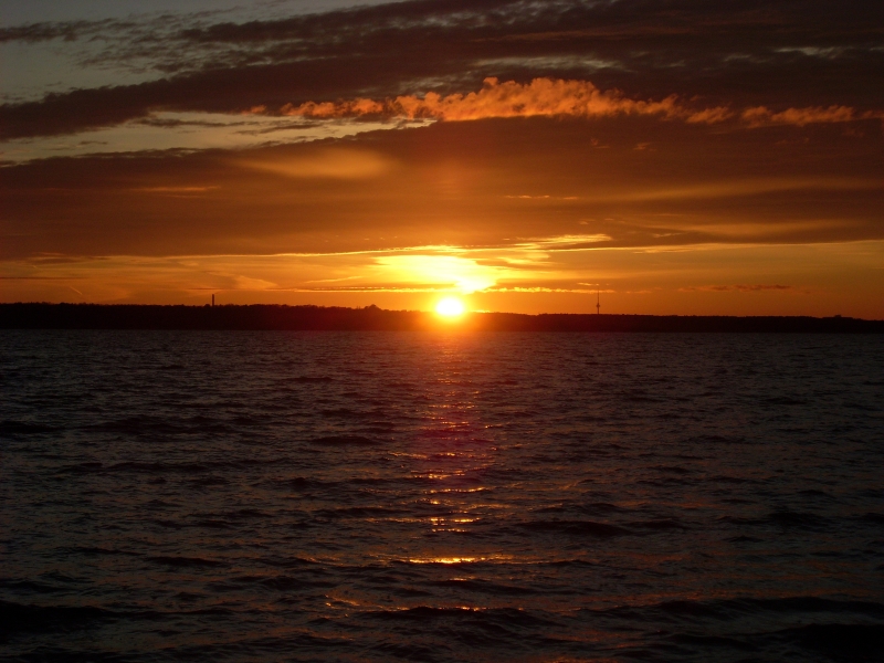 SL383769.JPG