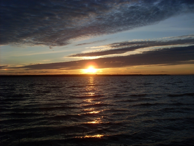 SL383766.JPG