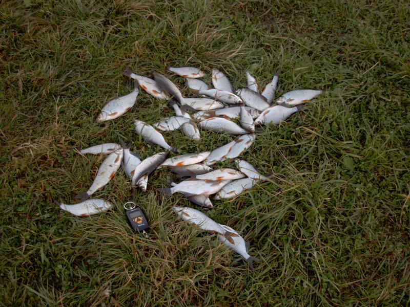 DSCN0030.JPG