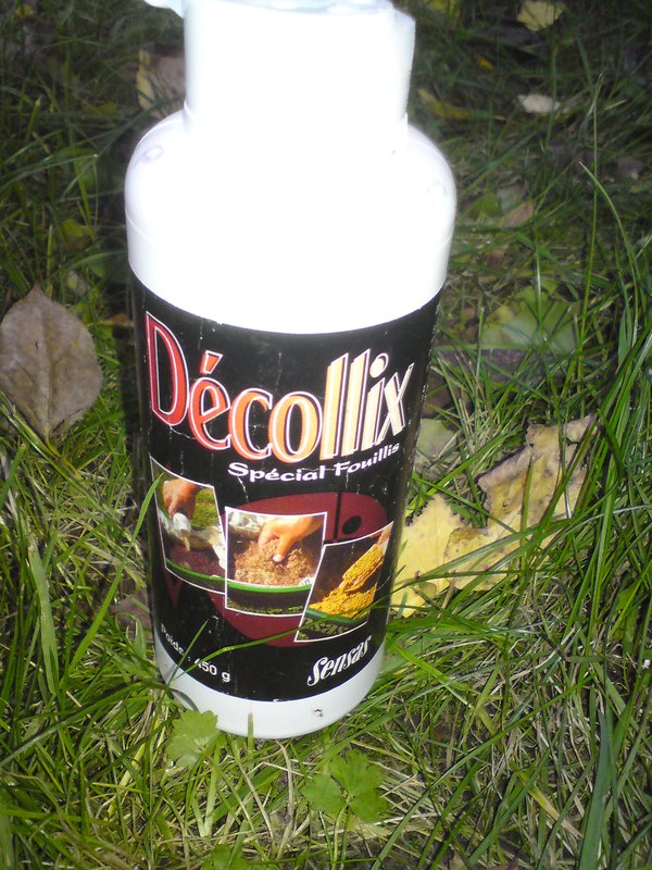 DSC01581.JPG