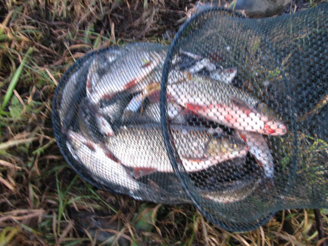 Picture 011.jpg