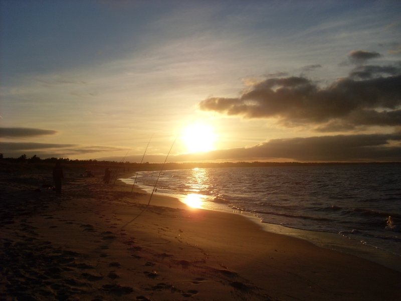 SL383865.JPG