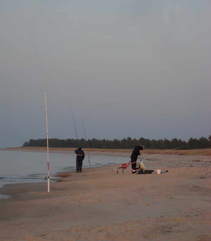SL383879.JPG
