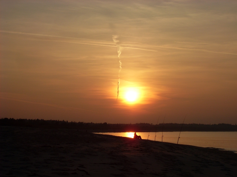 SL383877.JPG