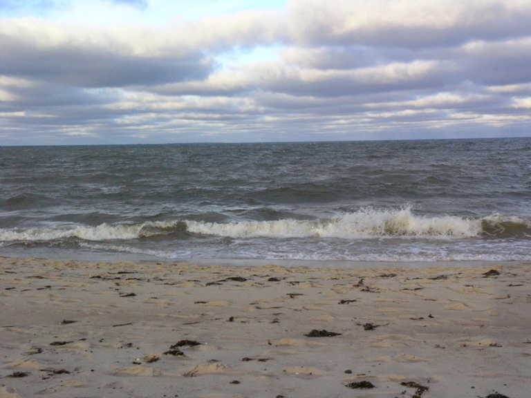 P1010045.JPG