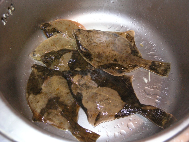P1010055.JPG