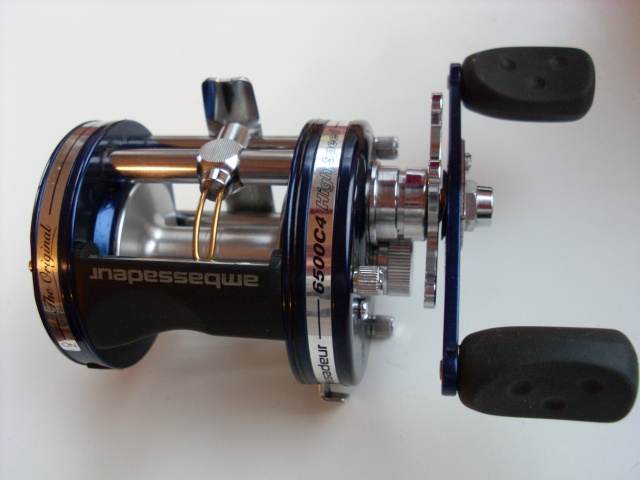 SL383947.JPG