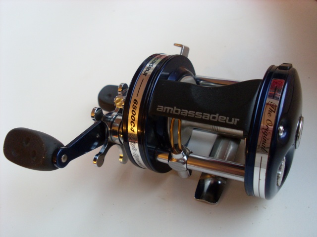 SL383948.JPG