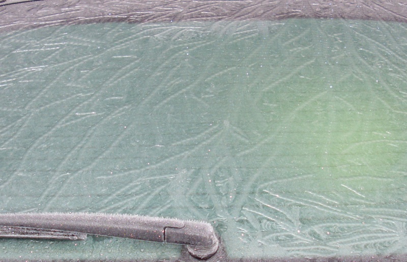 SL383950.JPG