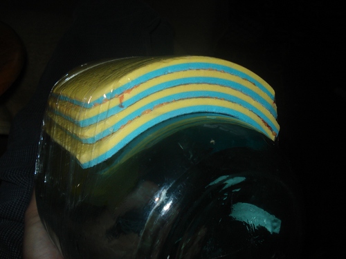 DSC00008 (2).JPG