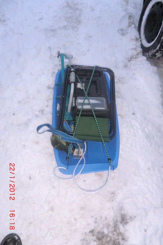 CIMG3102.JPG