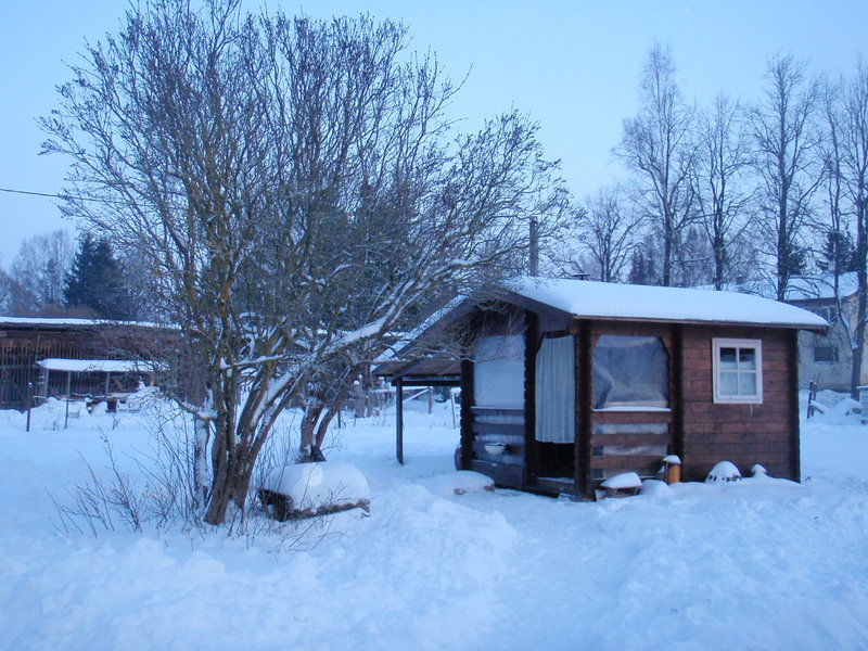 P1027732.JPG