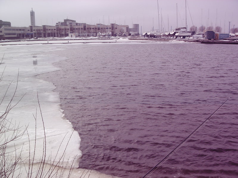 DSC00032.JPG