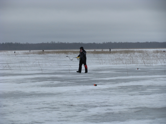 Tõhela 24.03.12.jpg