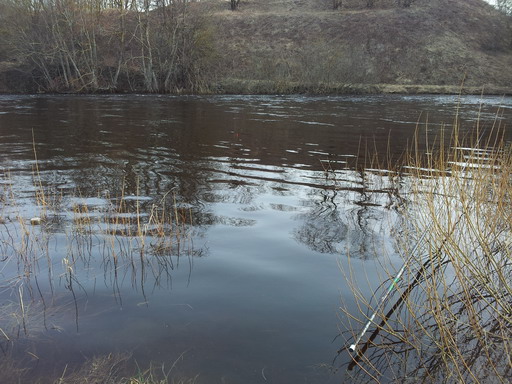 20120331_090608.jpg