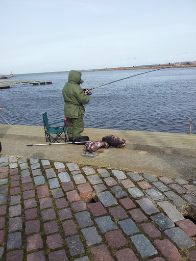 20120331_110616.jpg