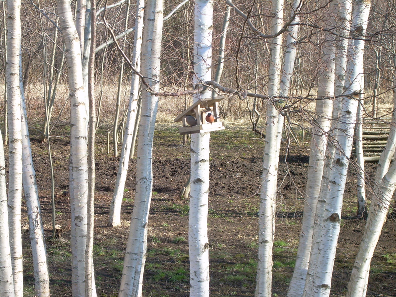 DSCN1014.JPG