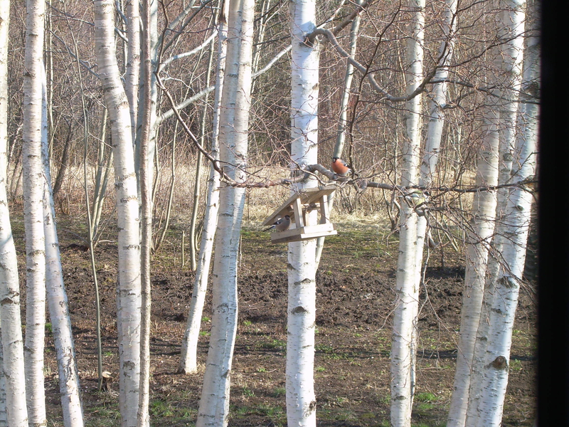 DSCN1015.JPG
