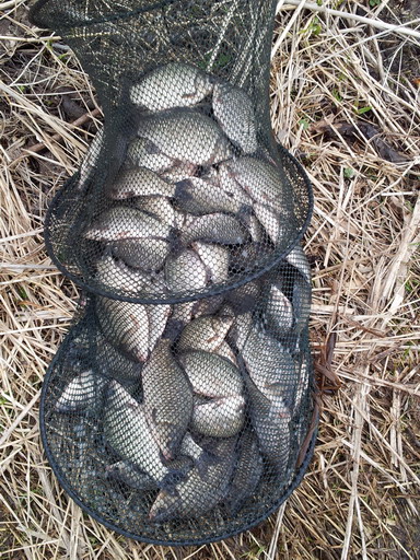 20120423_154628.jpg