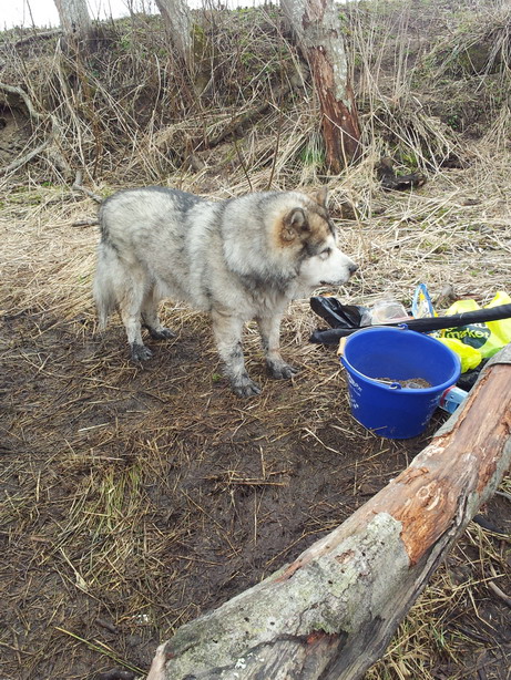 20120423_152823.jpg