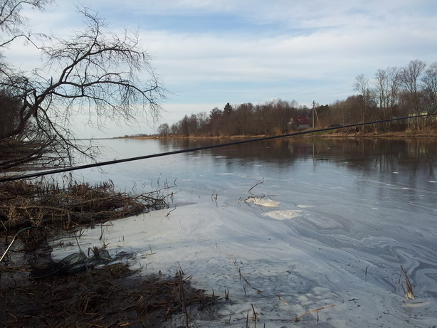20120425_185145.jpg