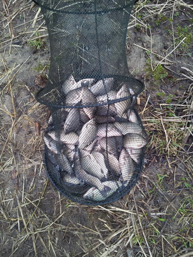20120425_200453.jpg