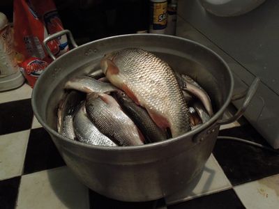 Собственно улов