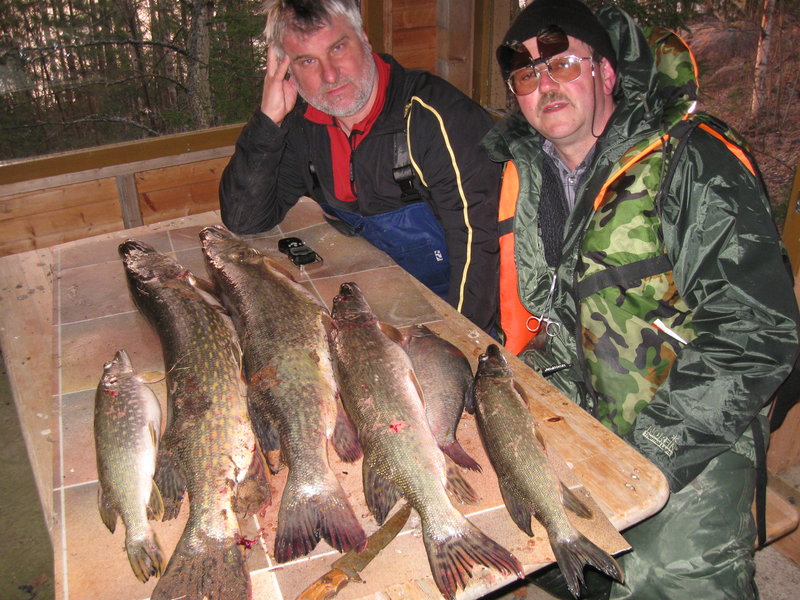 финрыб май 2012 059.jpg
