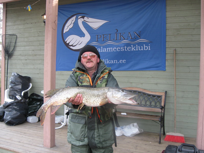 финрыб май 2012 094.jpg