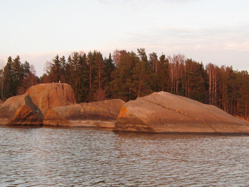 финрыб май 2012 053.jpg