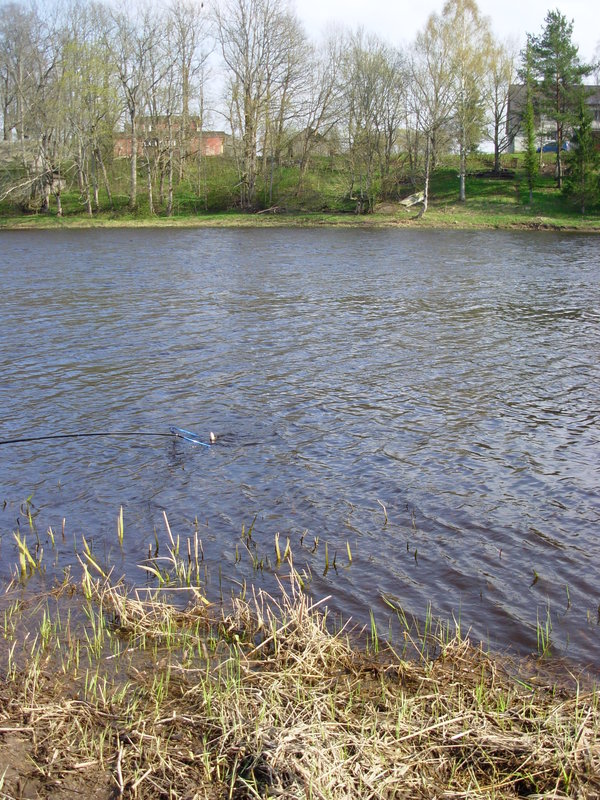 DSCN0067.JPG