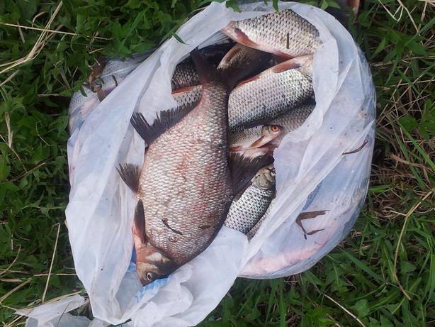 20120505_134513.jpg