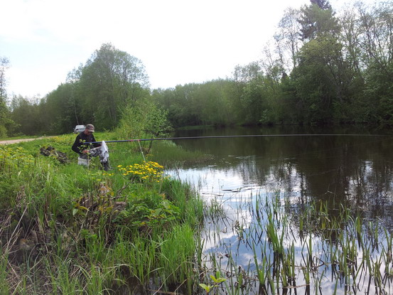 20120520_155500.jpg