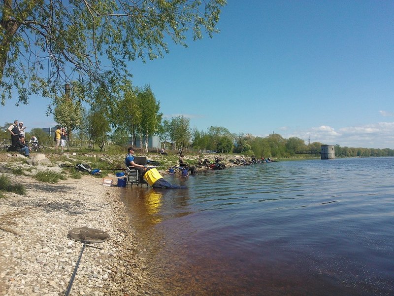 WP_000065.jpg