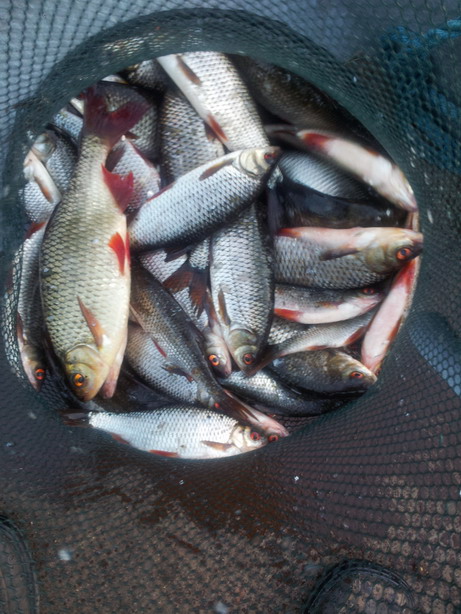 20120524_210708.jpg