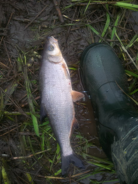 20120526_064920.jpg