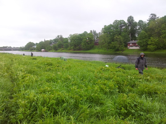 20120602_062756.jpg