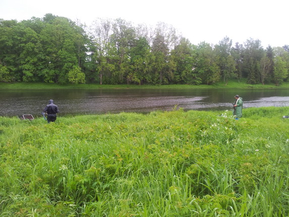 20120602_062801.jpg