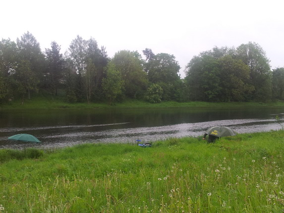 20120602_063335.jpg