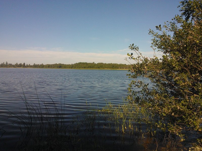 WP_000234.jpg
