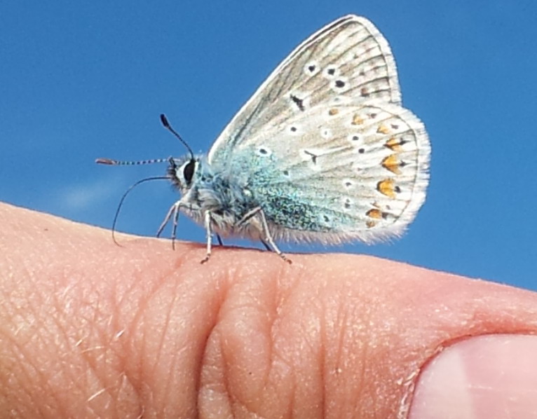 20120620_122854a.jpg