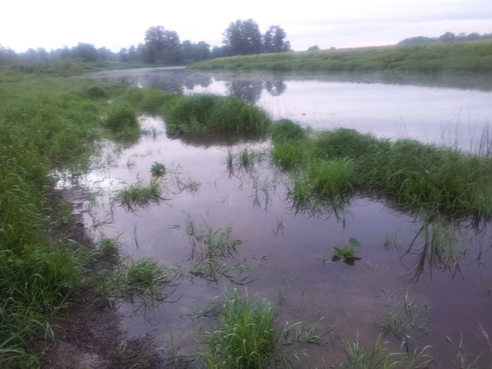 20120627_043714.jpg