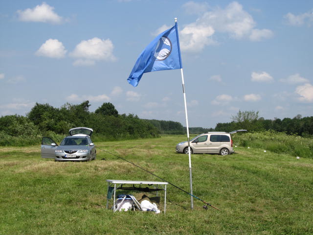 Picture 003.jpg
