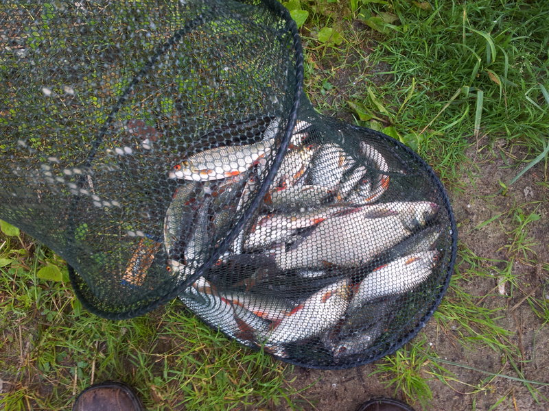 20120711_211435.jpg